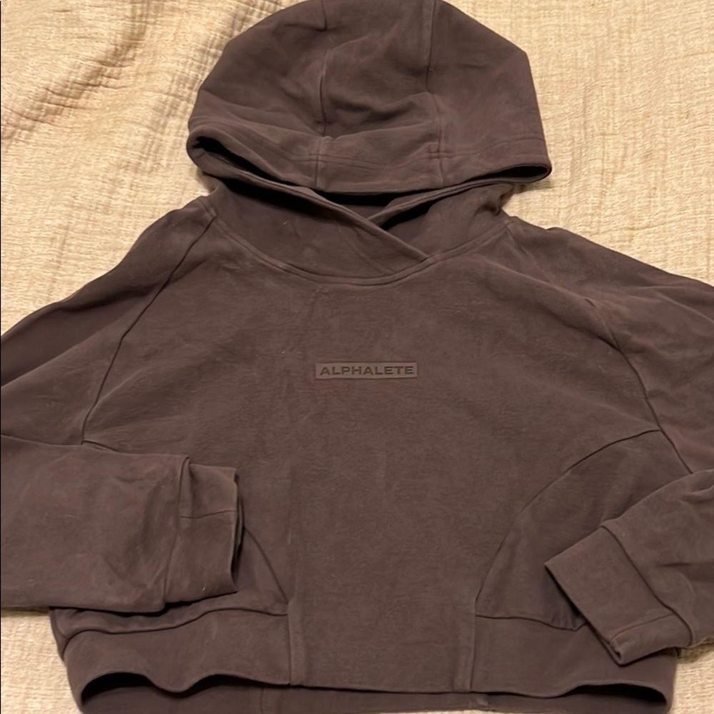 alphalete crop hoodie